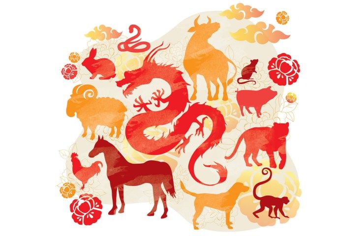 PORCO DE TERRA – PREVISÕES PARA TODOS OS SIGNOS CHINESES