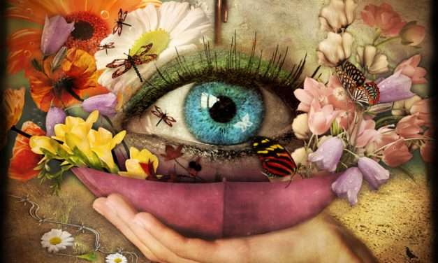 PRIMAVERA: ÉPOCA DE REDEFINIR OBJETIVOS