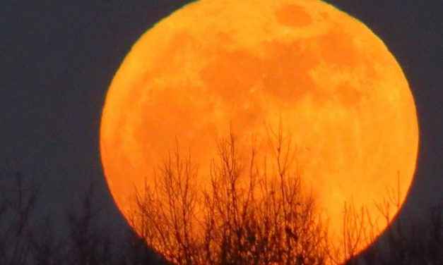PODEROSA LUA CHEIA: MAGIAS, NÚMERO DO DIA, TAROT