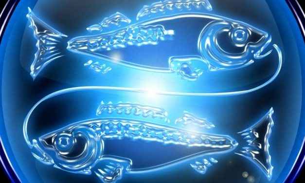 PEIXES E O AMOR