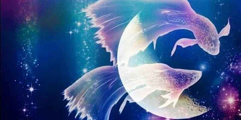 LUA NOVA EM PEIXES 2020